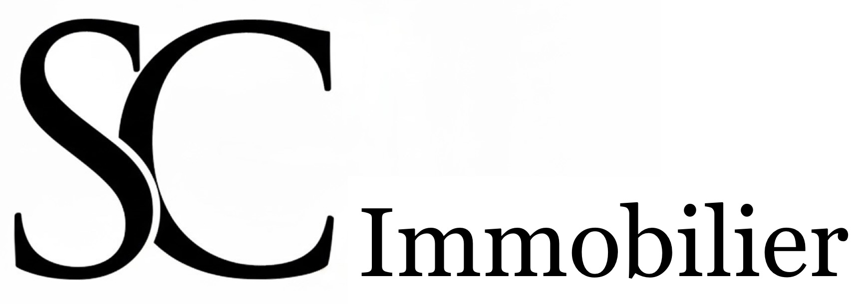 Stéphane Carré Immobilier